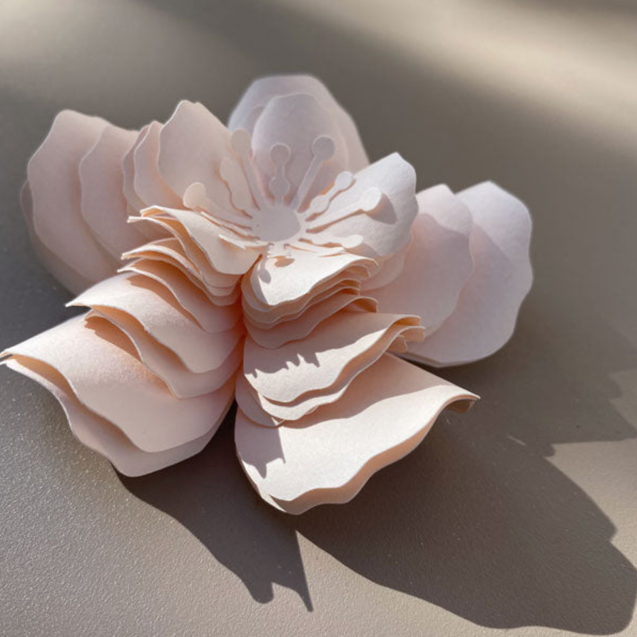 Lot de 5 fleurs, design paper maker français